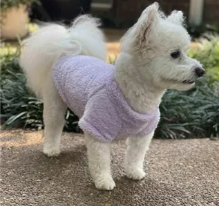 Soft Plush Dog Pullover - Burgundy