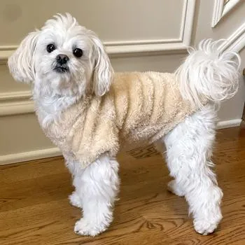 Soft Plush Fuzzy Pullover Sweater